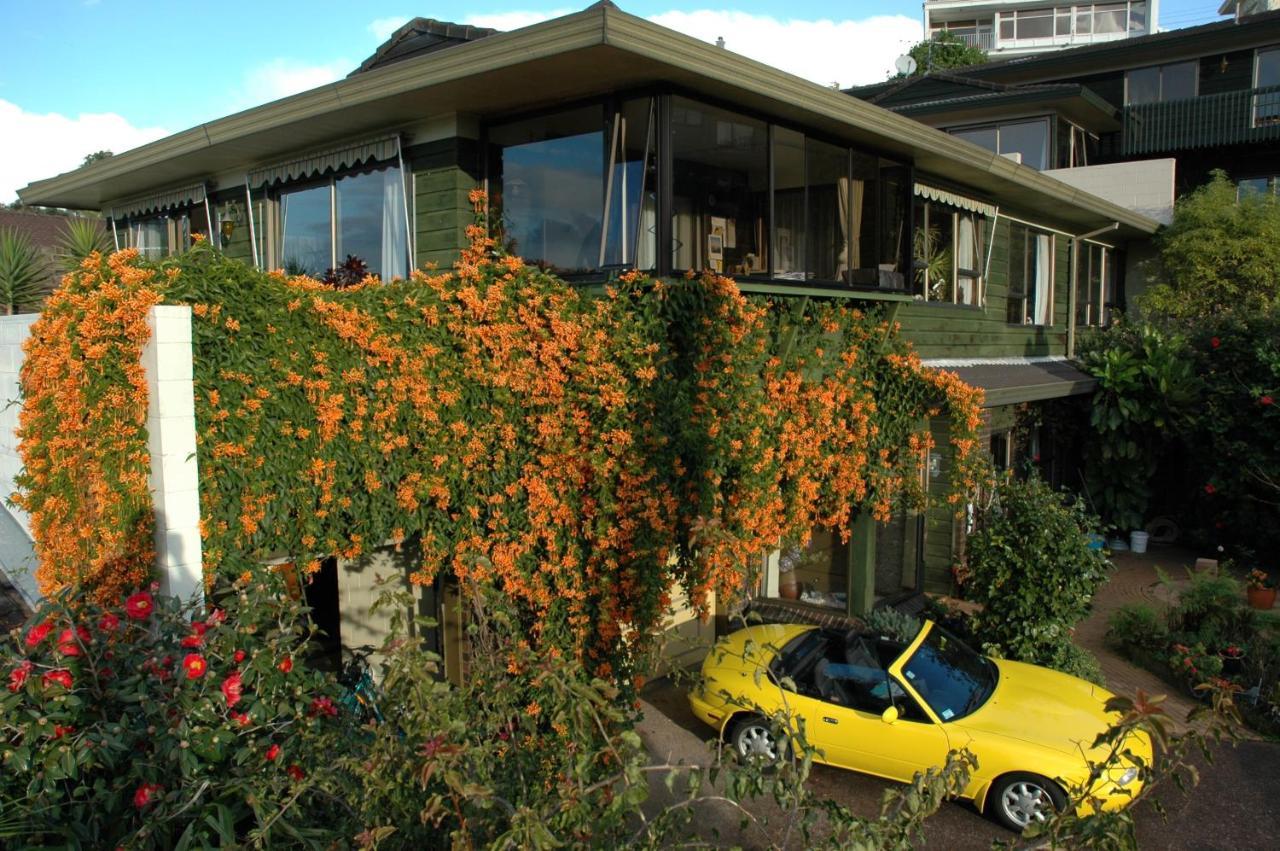 Nautical Nook Bed And Breakfast Auckland Exteriör bild